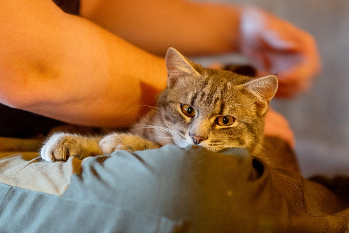 Парень построил дом из глины 7.jpg