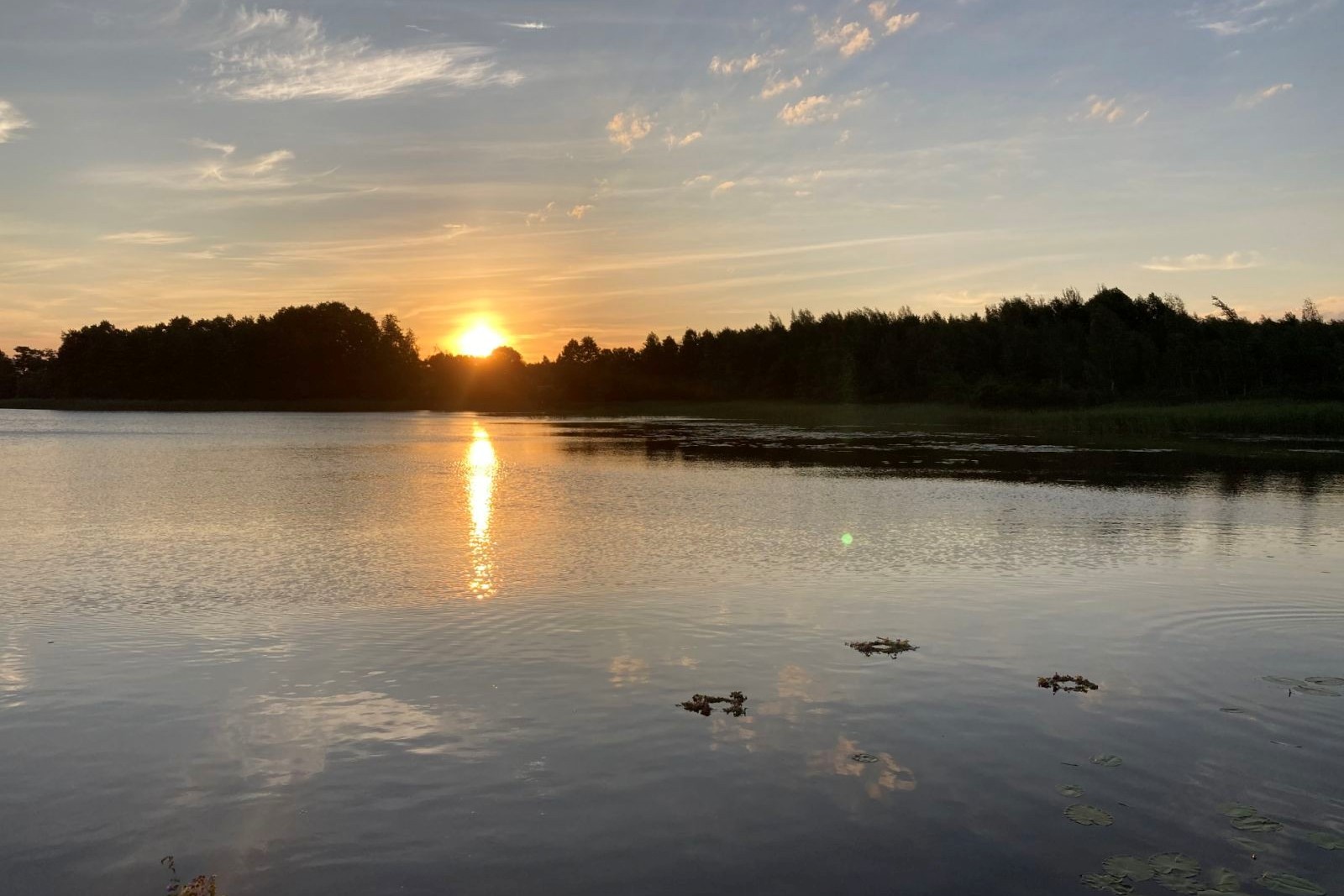 5-Глыбоцкі раён Купалле на Запаведным востраве.jpg