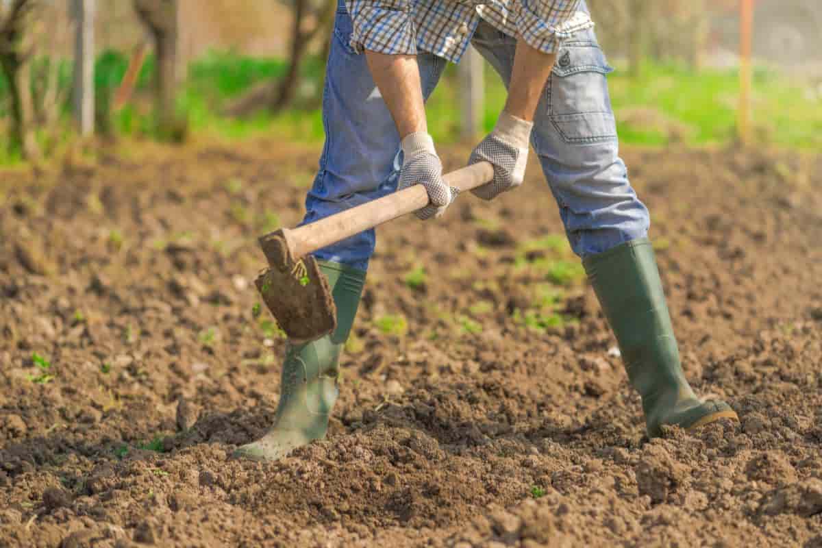 photo_2026-04-23_06-39-58 (2).jpg