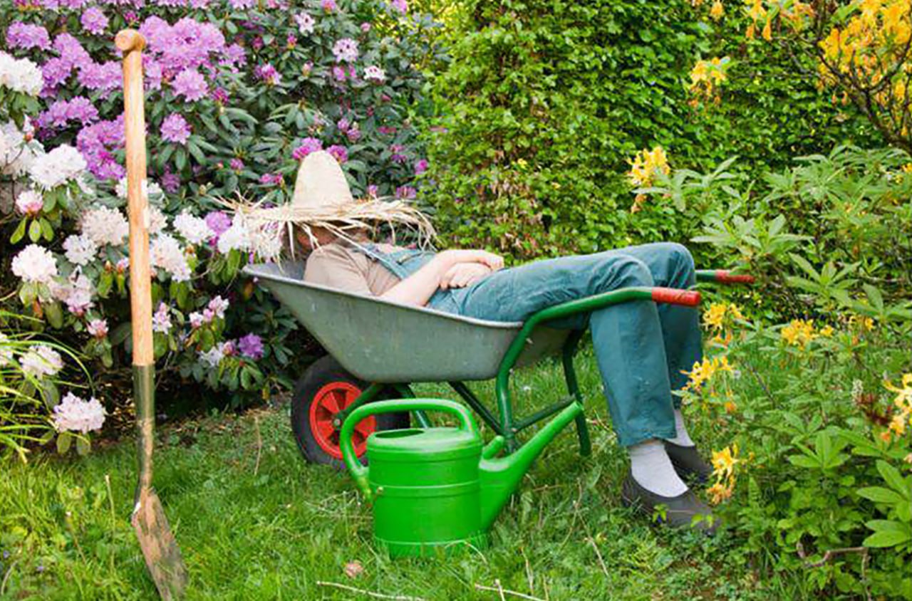 лежит на даче