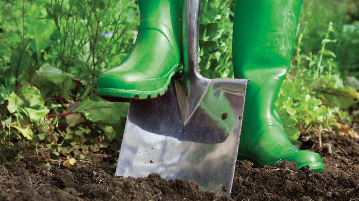 резиновые сапоги.jpg