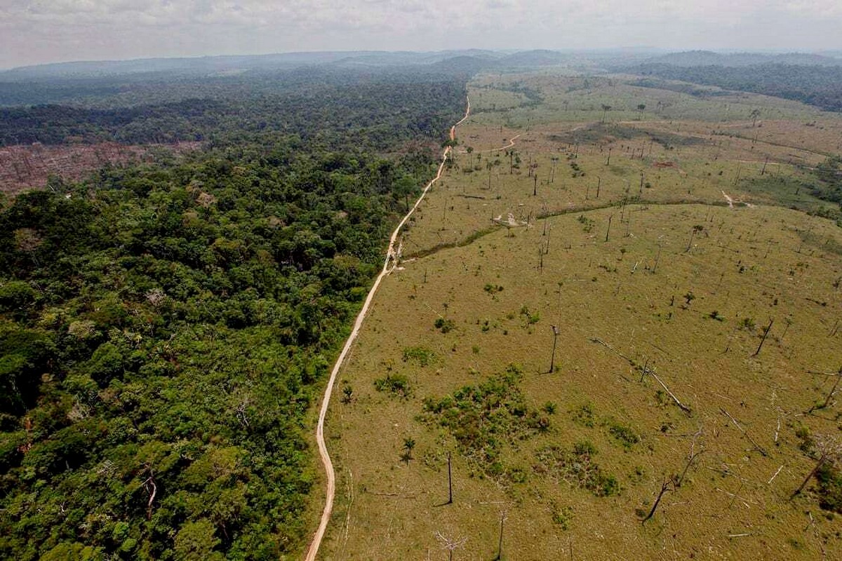 4-Вырубка лесов в Амазонии.jpg