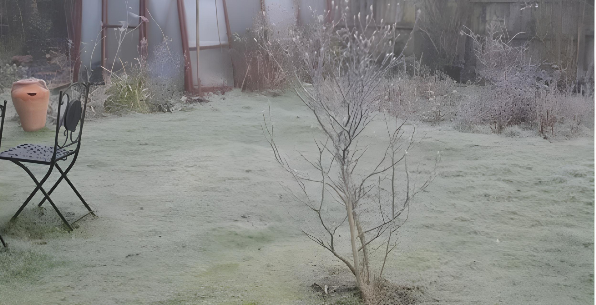 зима без снега.jpg