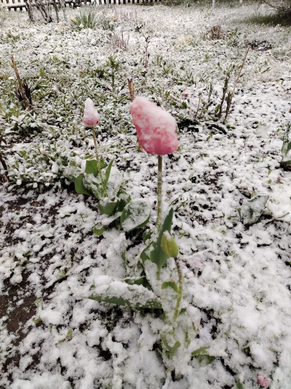 photo_2026-04-26_10-11-28 (2).jpg