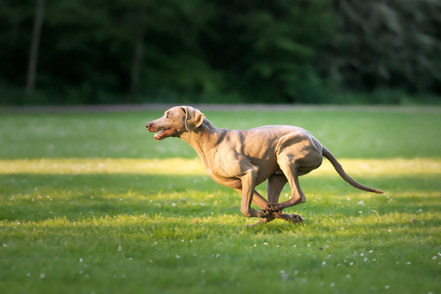 iStock-1440543432-e1737276345564-1536x1023.jpg