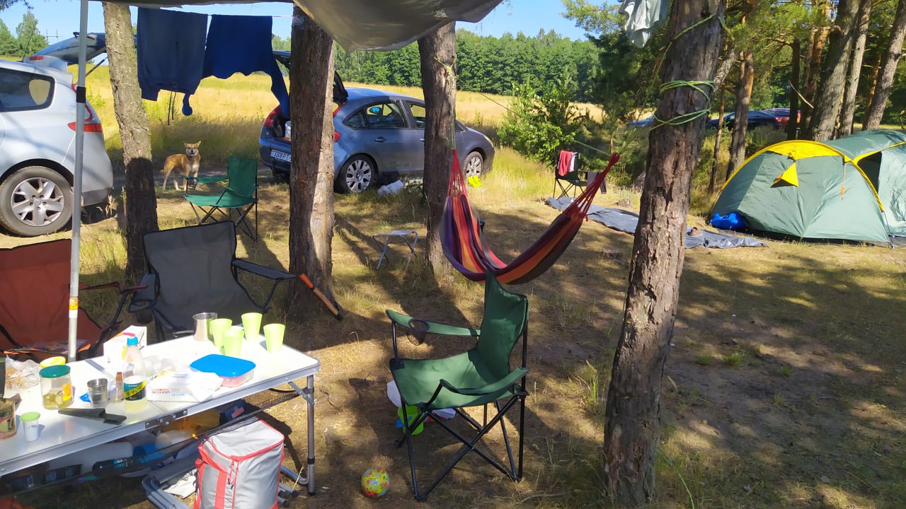 Отдых в лесу.jpg