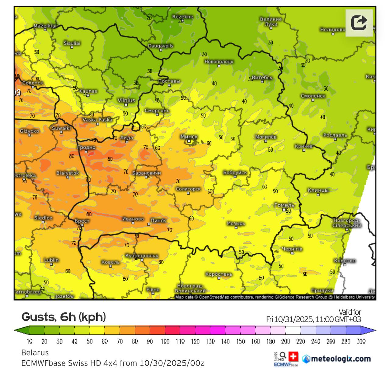 порывы ветра 31 октября в Беларуси.jpg