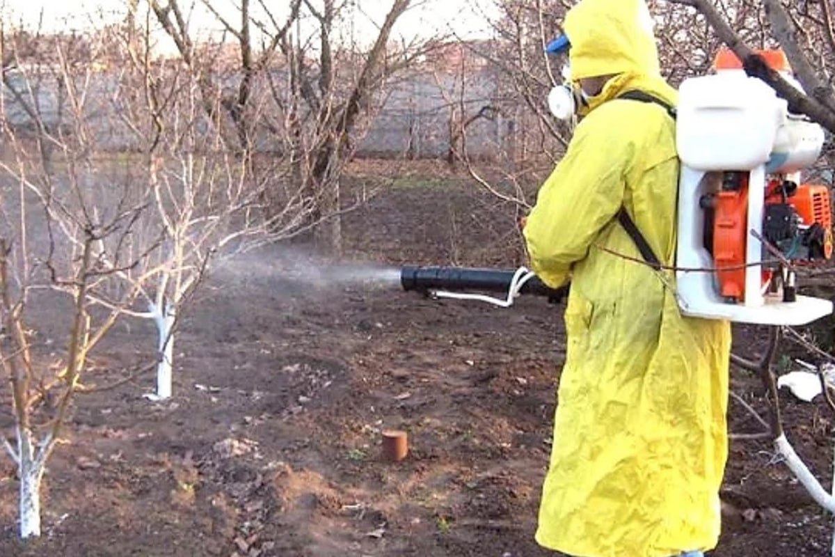 боремся с вредителями