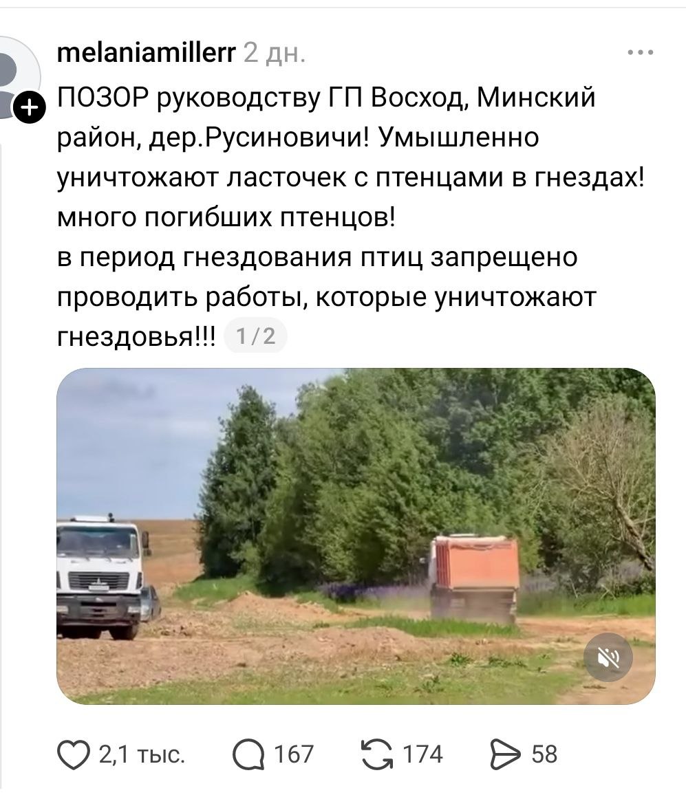скрин, пост, ласточки скрин, пост, ласточки.jpg