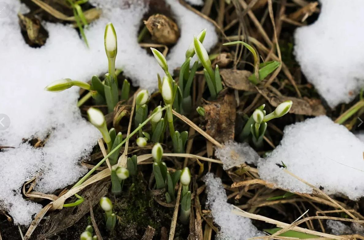 photo_2026-03-21_10-19-38 (3).jpg