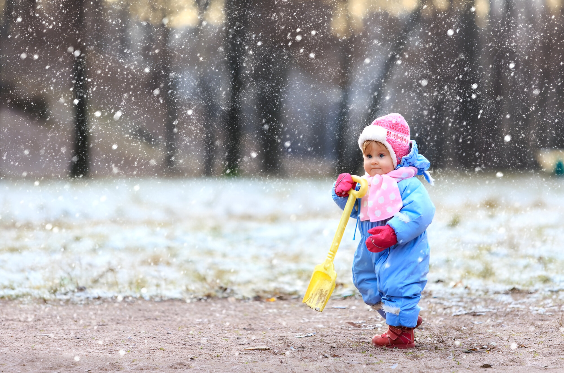 shutterstock_245602174 (1).jpg