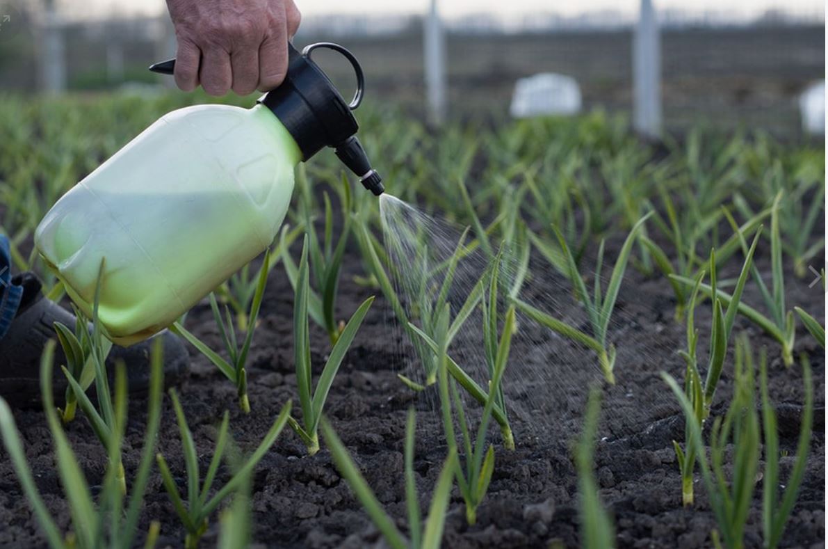 photo_2026-04-21_09-04-25 (2).jpg