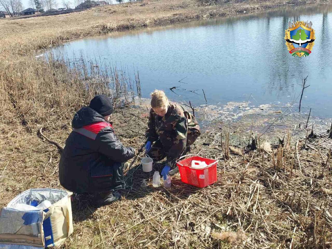 гибель рыбы замор рыбы.jpg