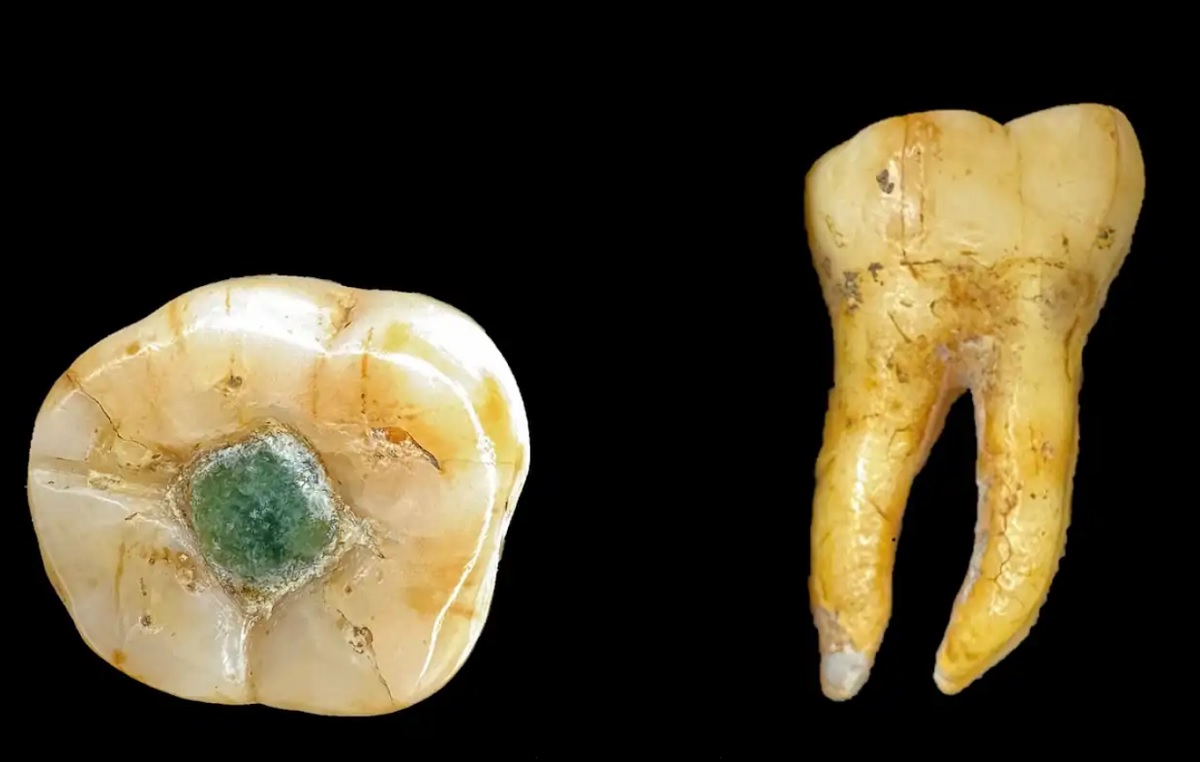 стоматология Майя стоматология Майя