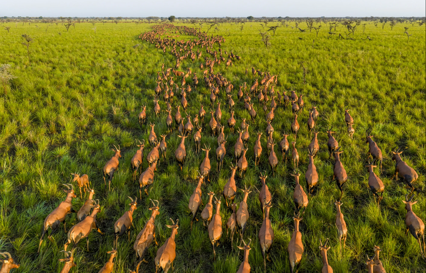 Шесть миллионов в пути. Южный Судан