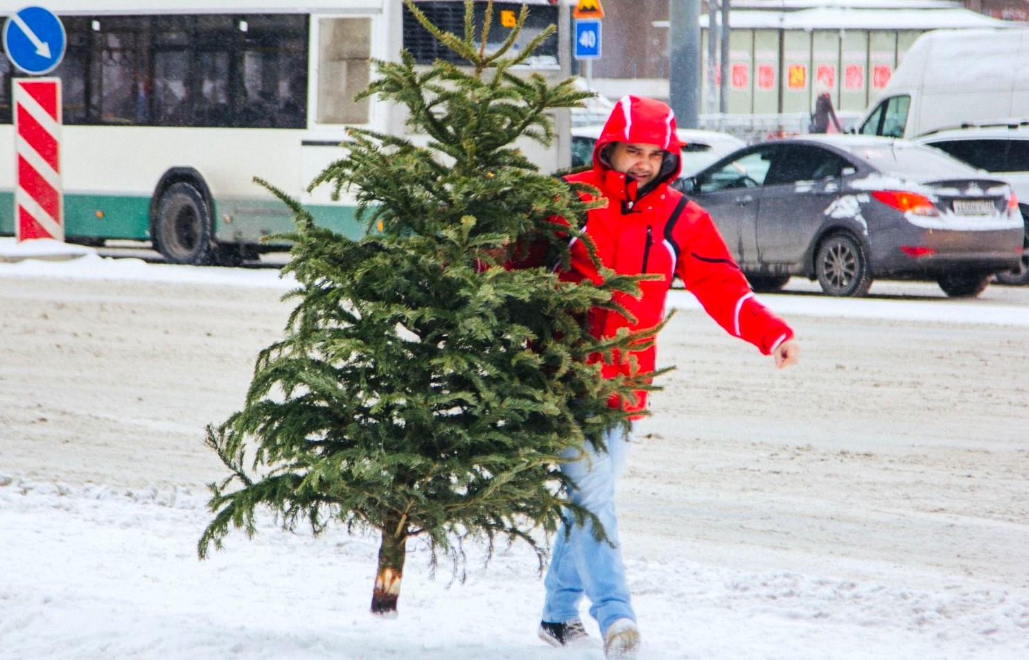 Человек с ёлкой