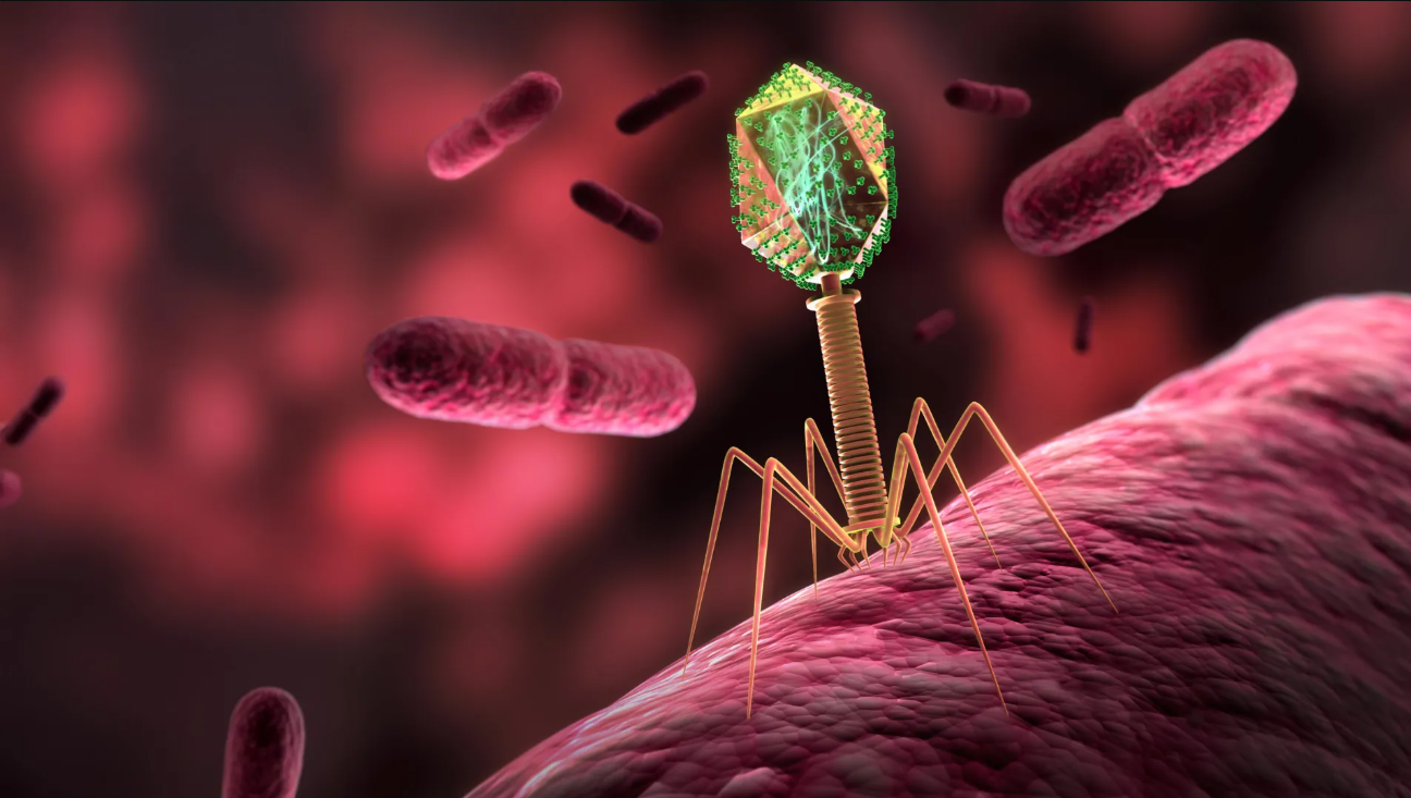 вирусы в космосе