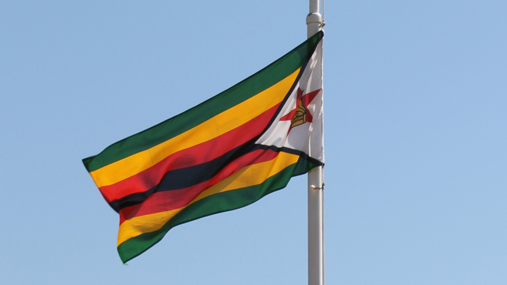 флаг зимбабве.jpg