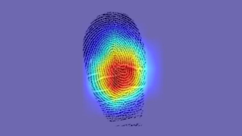 Отпечатки пальцев.jpg