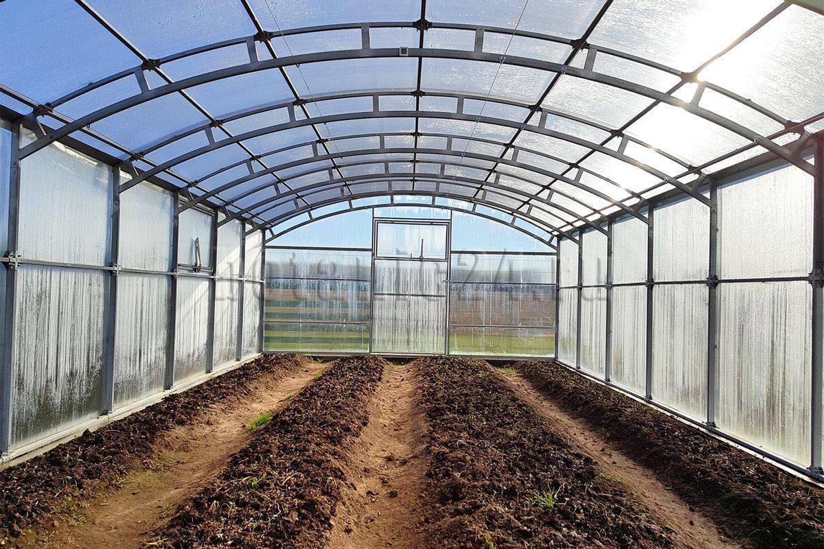 теплица теплица 3.jpg