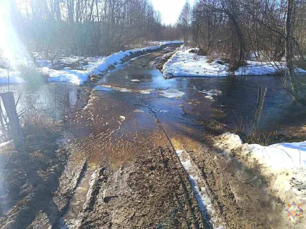 Подтопленный мост в Лиозненском районе