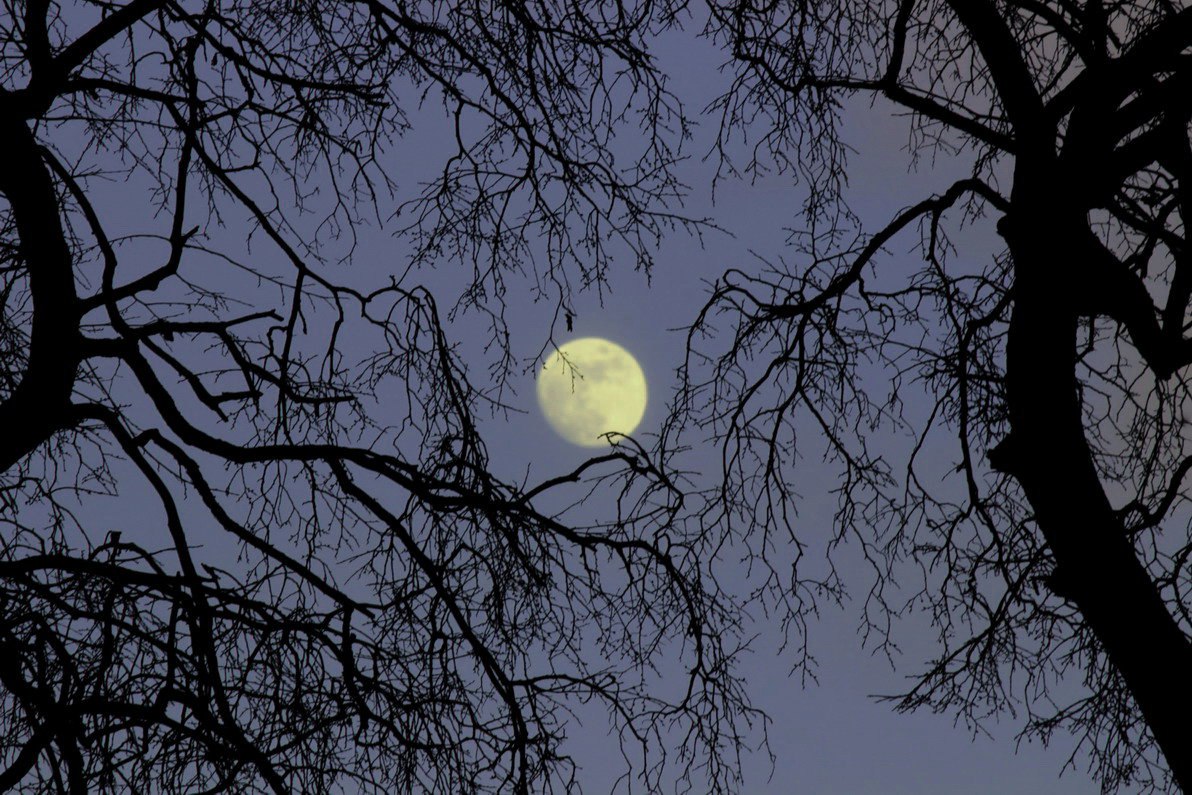 луна.jpg