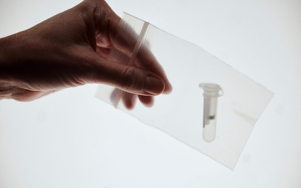 Образец ДНК, в котором содержались все ответы 