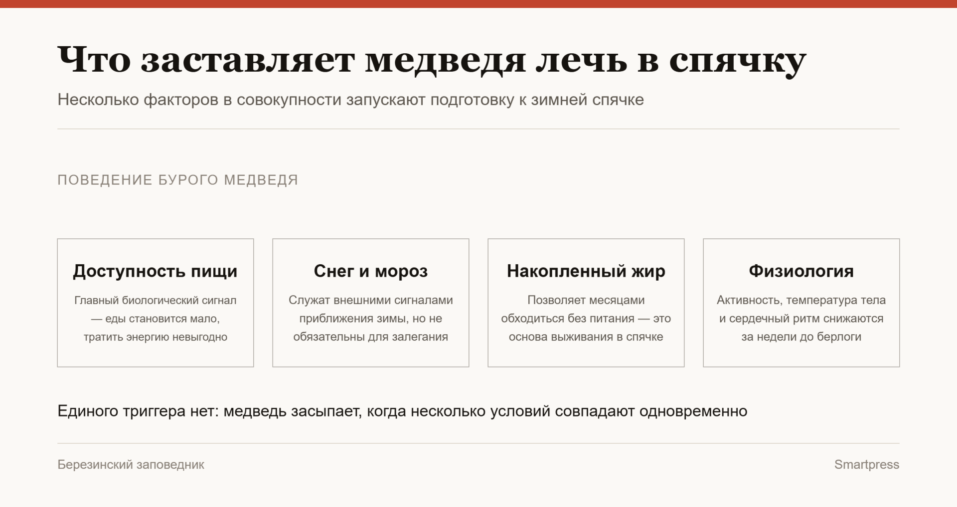 инфографика Что заставляет медведя лечь в спячку