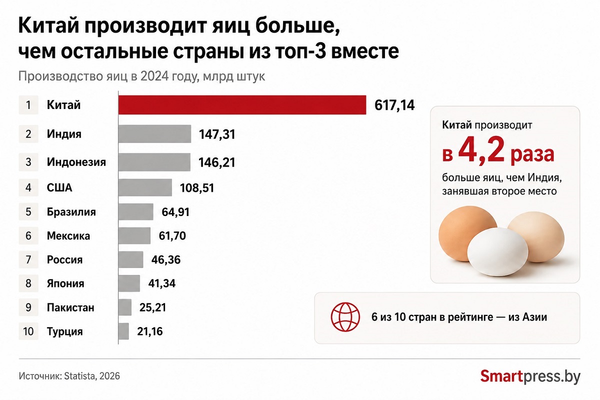 производство яиц производство яиц