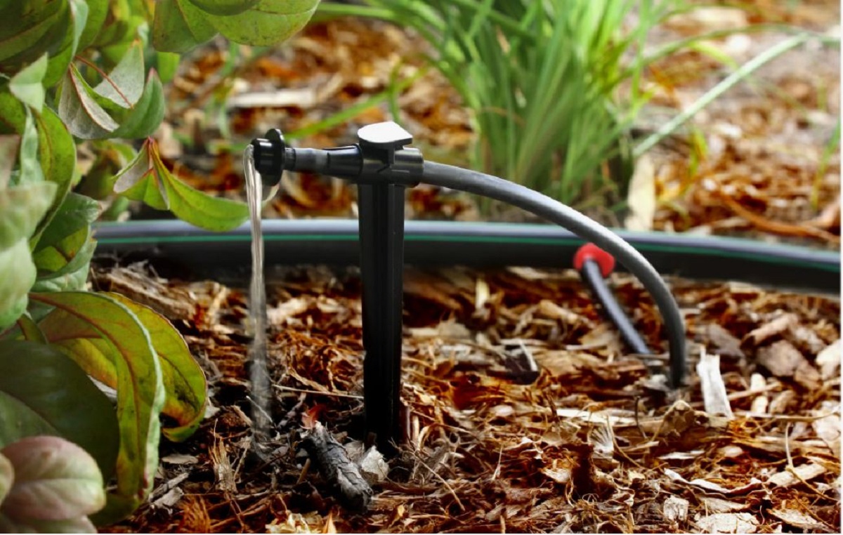 полив осенью 2.jpg