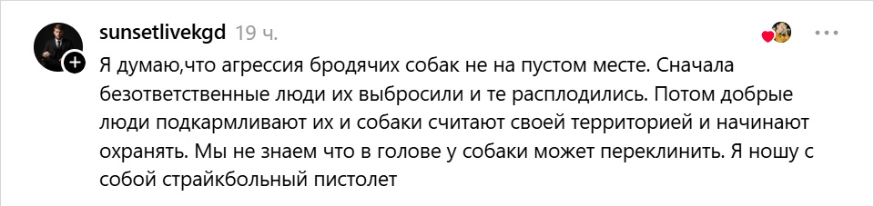 агрессия собак не на пустом месте