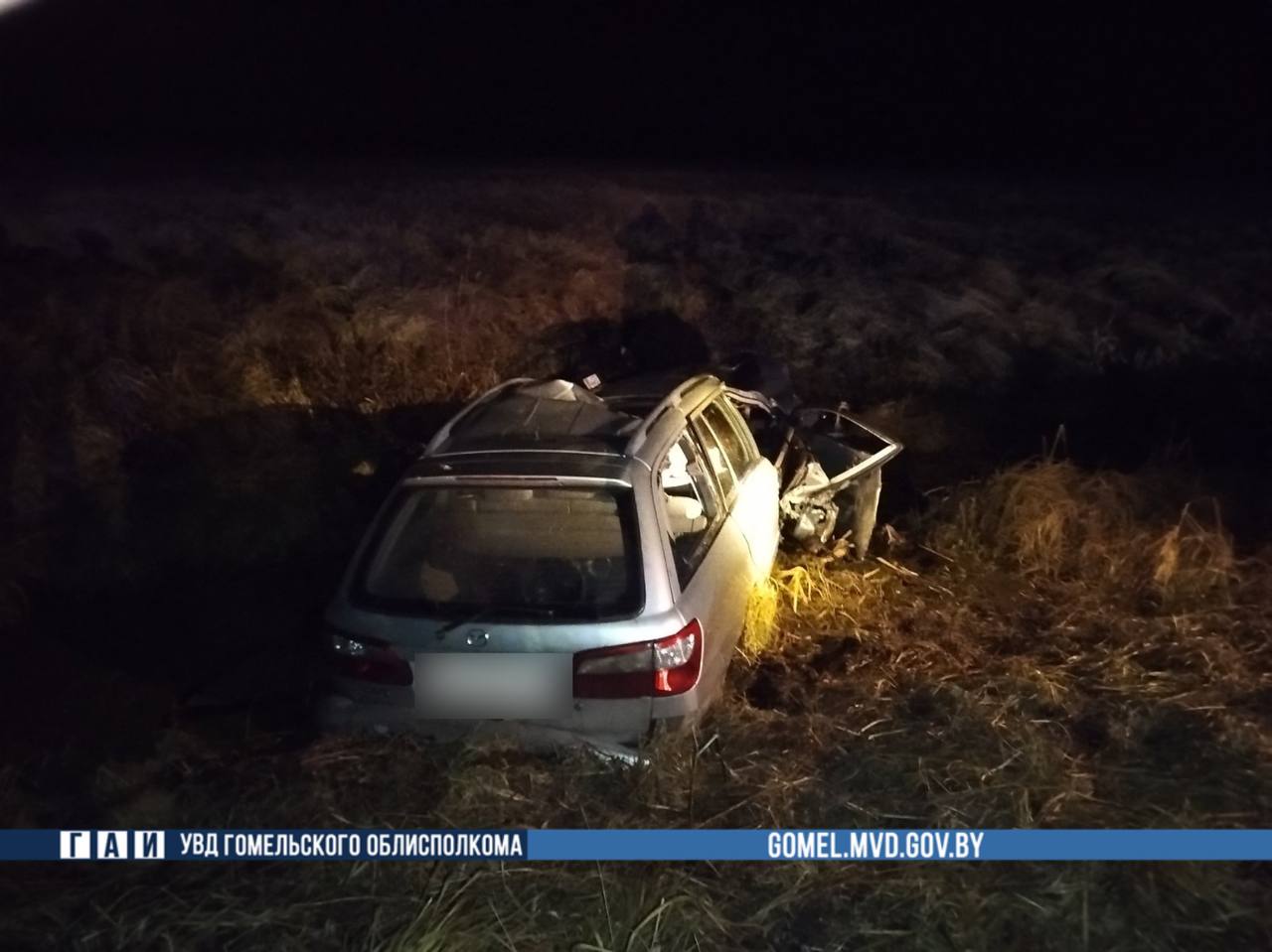 ДТП с лосем под Буда-Кошелево