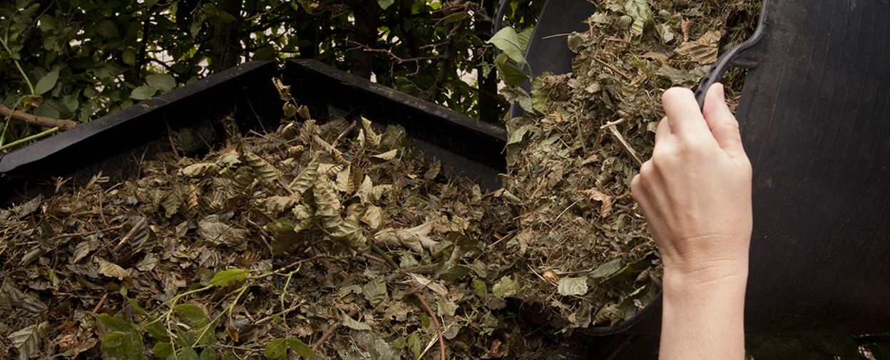 photo_2025-10-22_11-57-55 (4).jpg