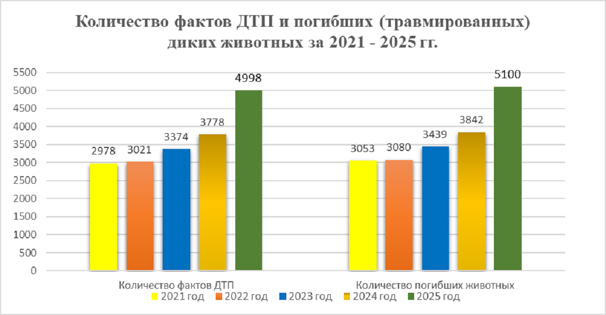 статистика дтп 