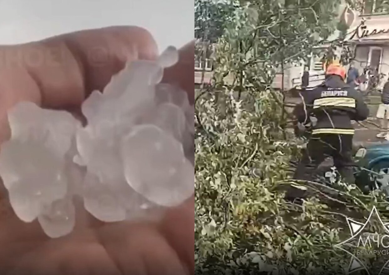 град размером с камень и поваленные деревья