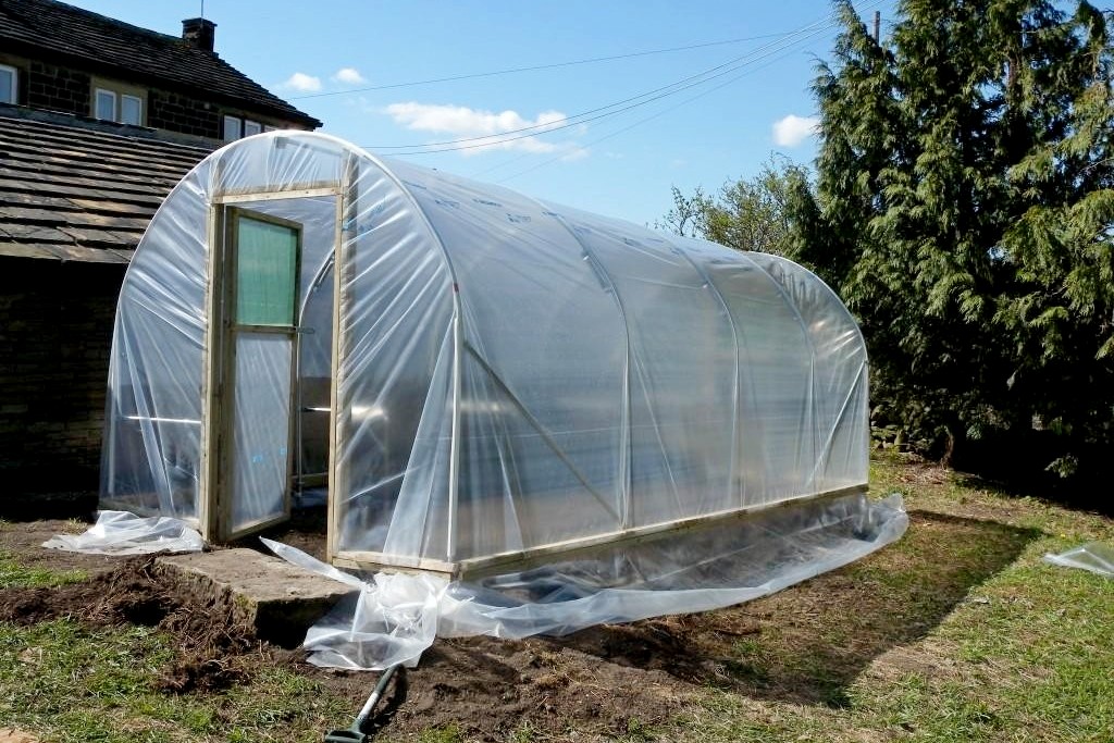 2-Пленочная теплица.jpg