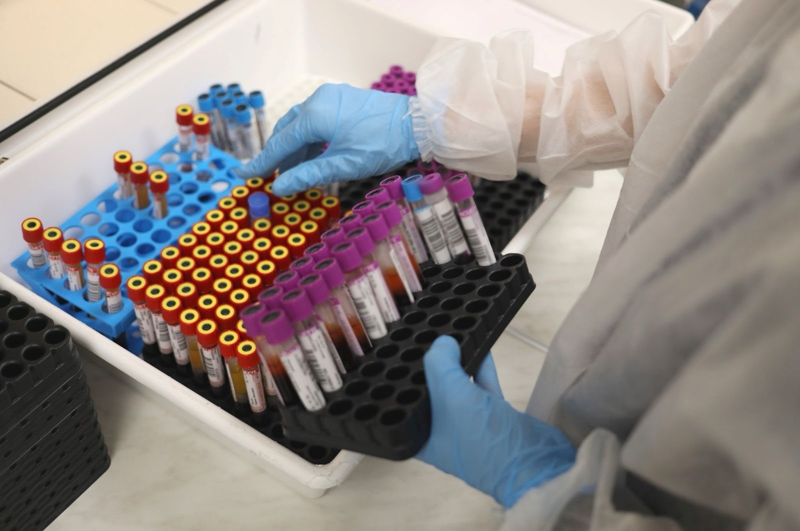 анализ крови анализ крови.jpg