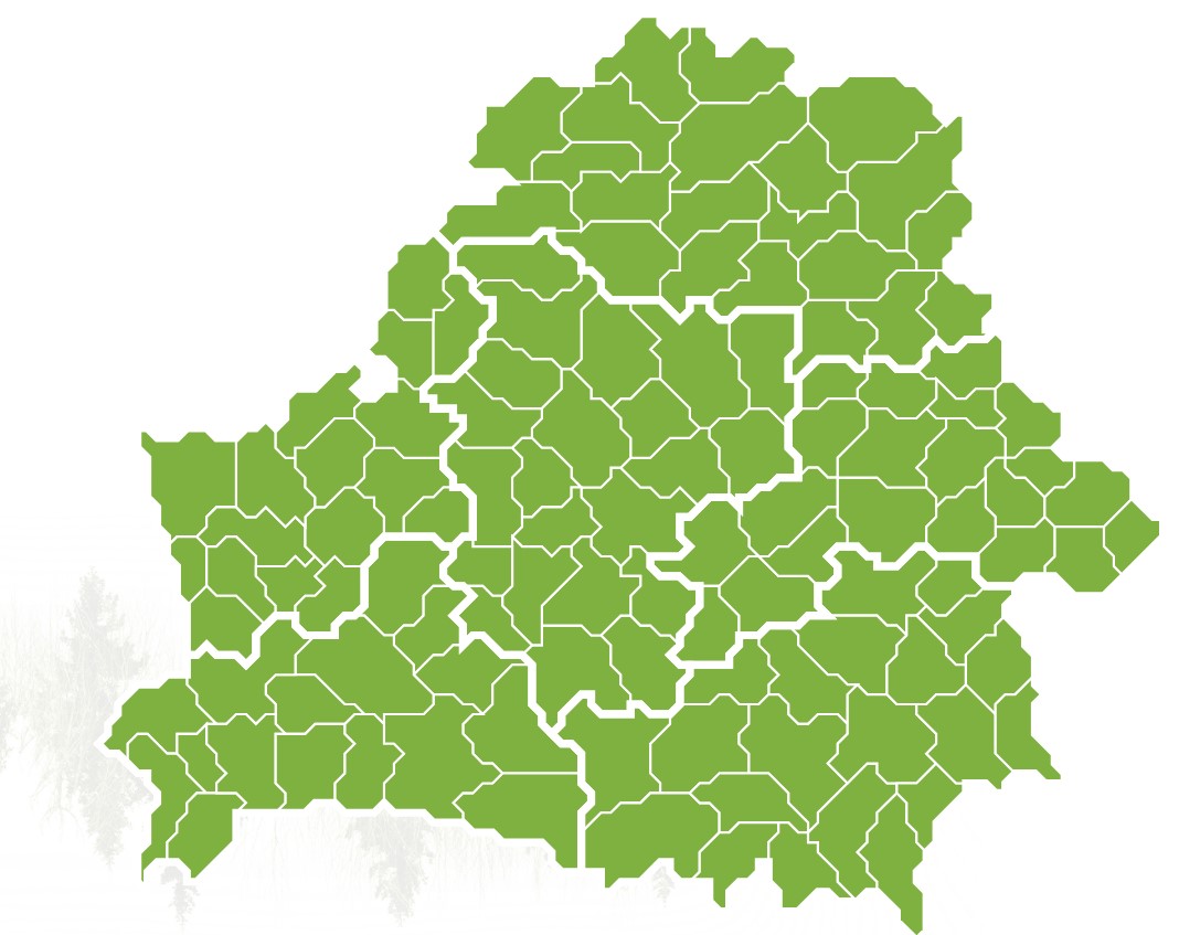 во всех лесах Беларуси посещение разрешено