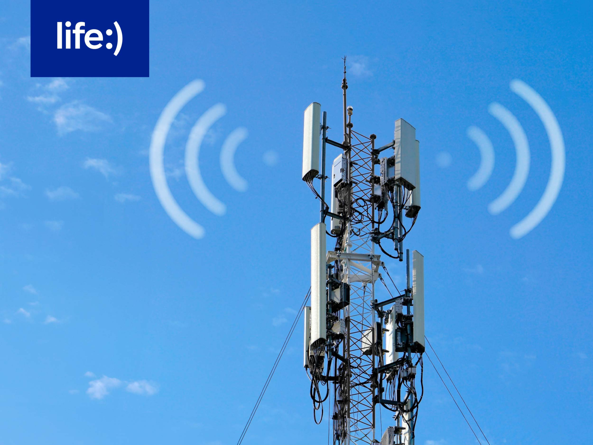 life_итоги года 23 1-04.jpg