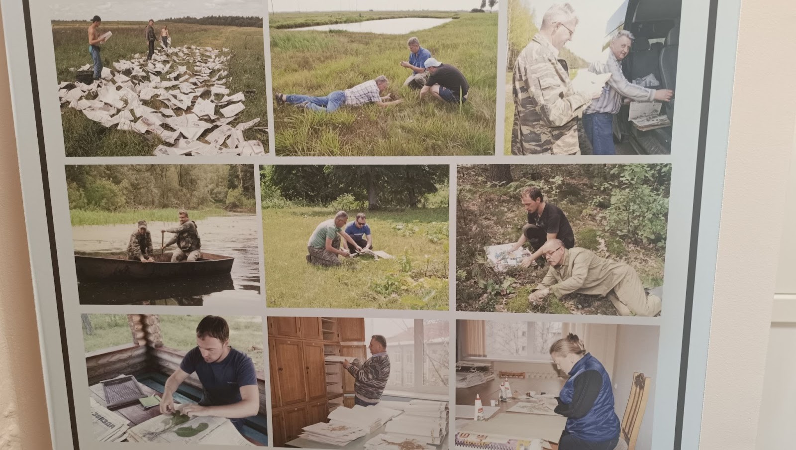 Фотографии этапов подготовки гербария.jpg