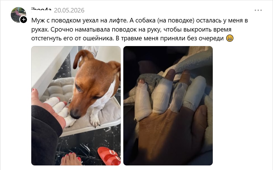 лифт-поводок