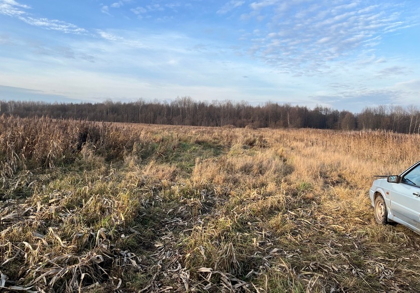 незаконная охота гл.jpg