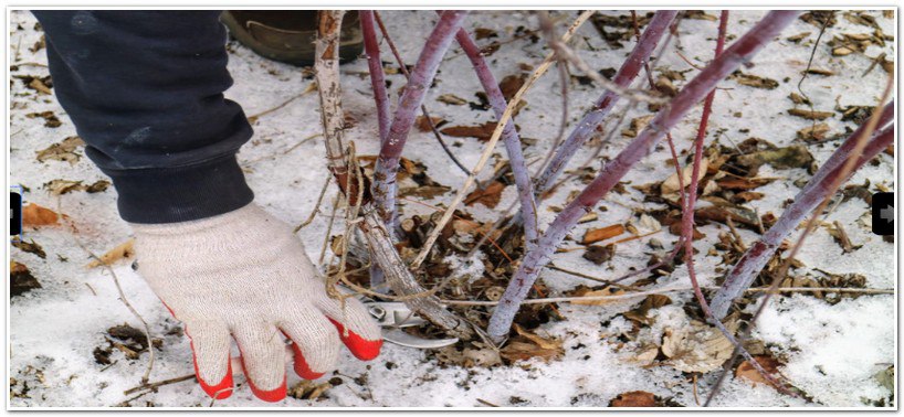 photo_2025-11-21_12-45-29 (2).jpg