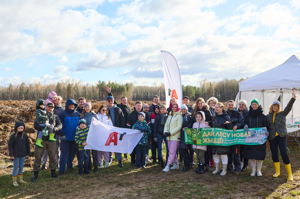 А1лес3.jpg А1лес3.jpg