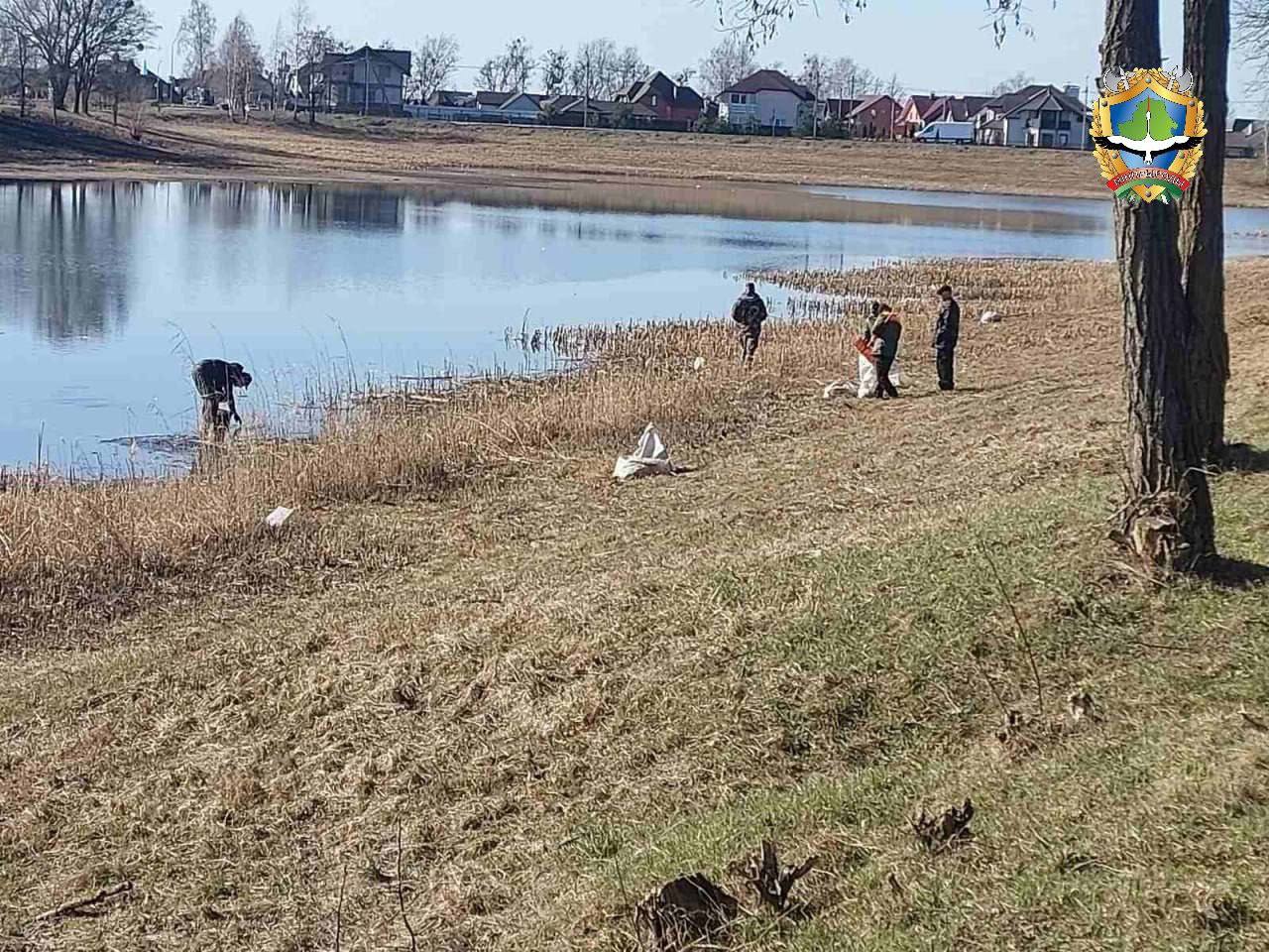 гибель рыбы замор рыбы 1.jpg