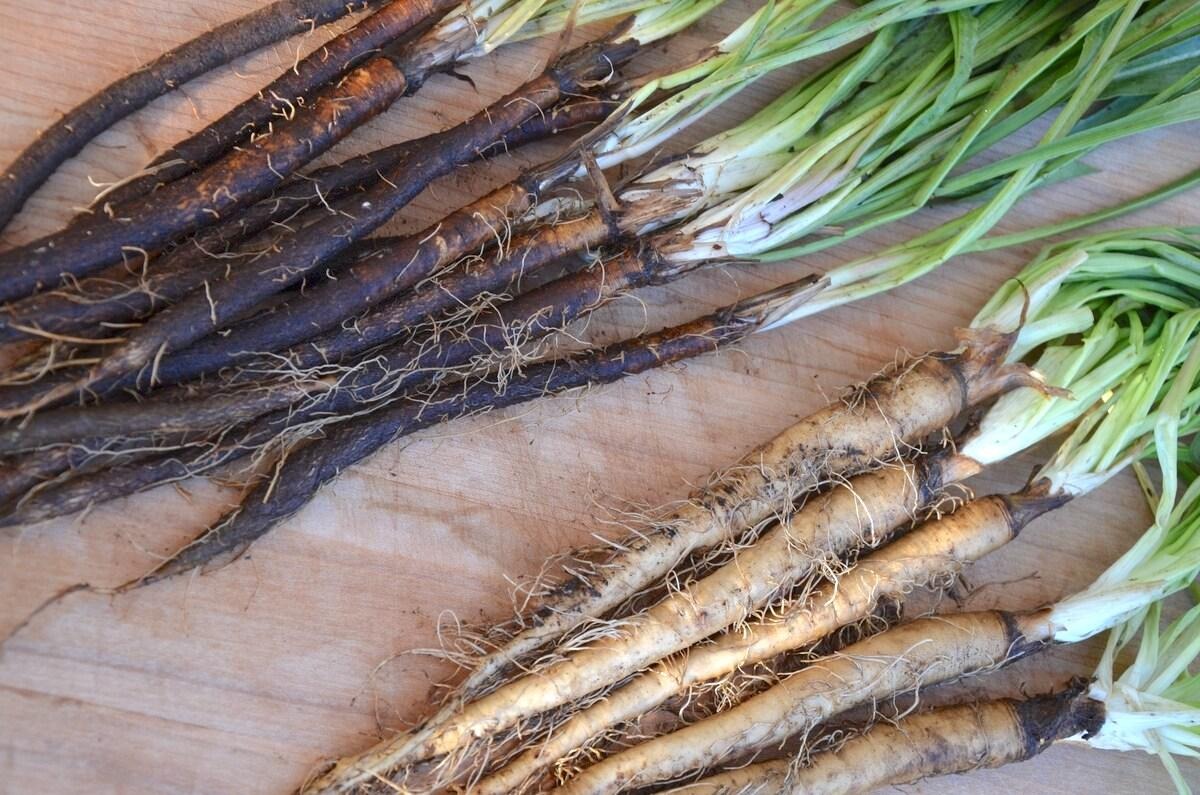 скорционер 