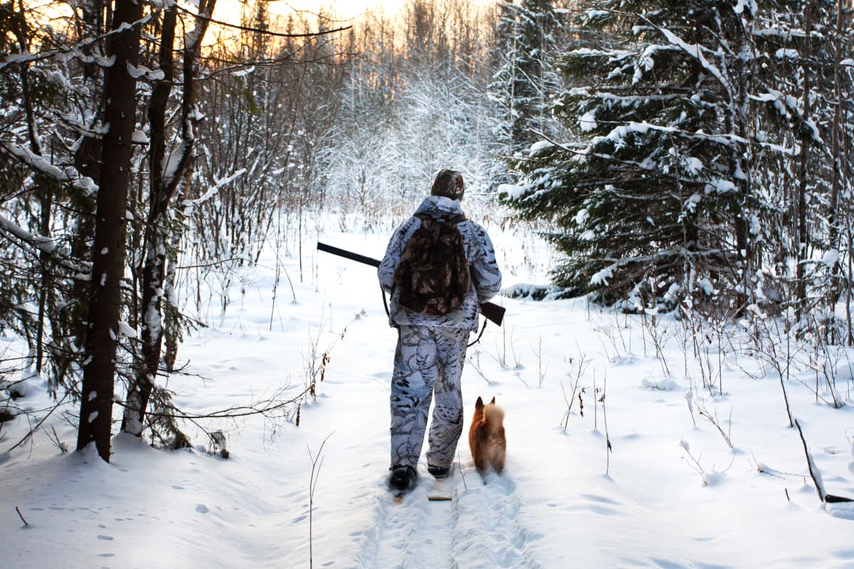 Охотник с собакой