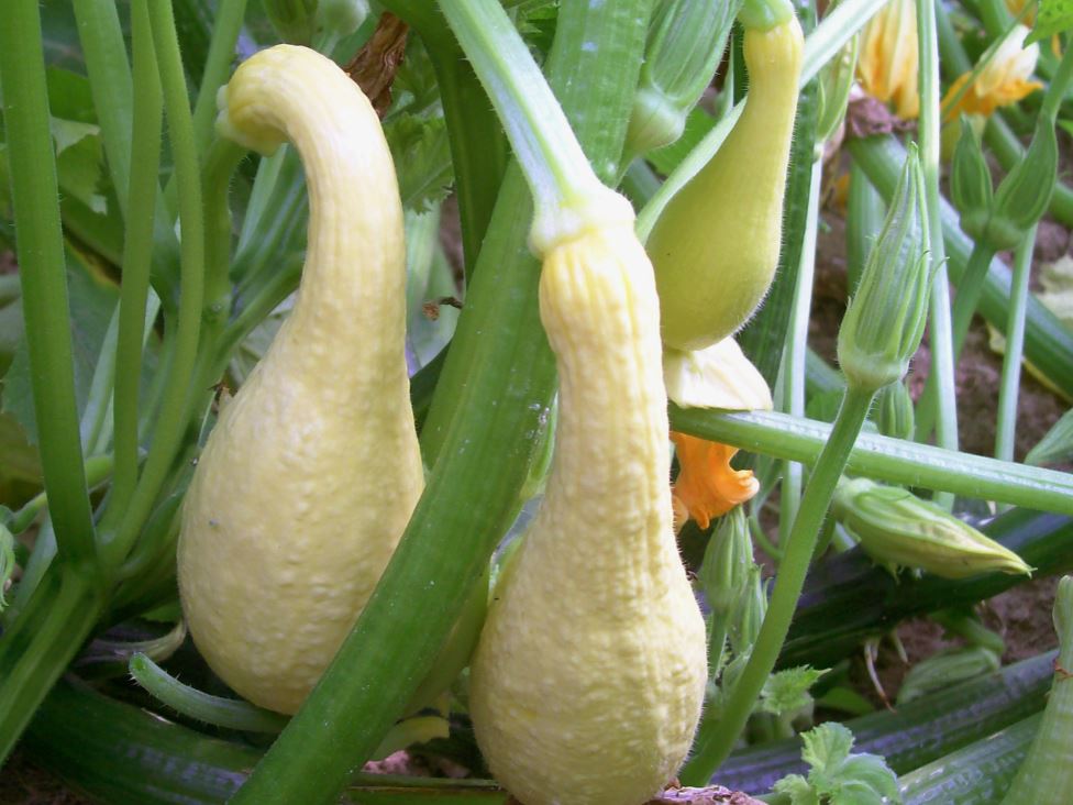 photo_2026-02-17_15-18-52 (2).jpg