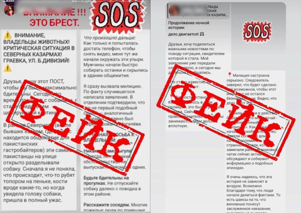 фейковые сообщения о разделывании собаки в Бресте