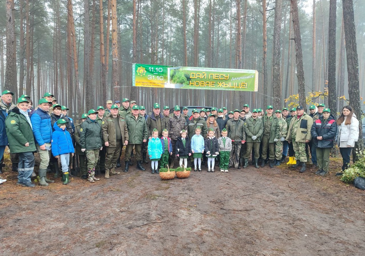 Брестская область Малоритский район, фото Минлесхоз
